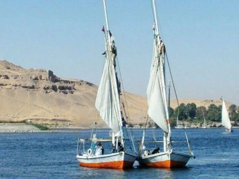 Mövenpick Royal Lotus Nile Cruise excursion exploring Aswan temples