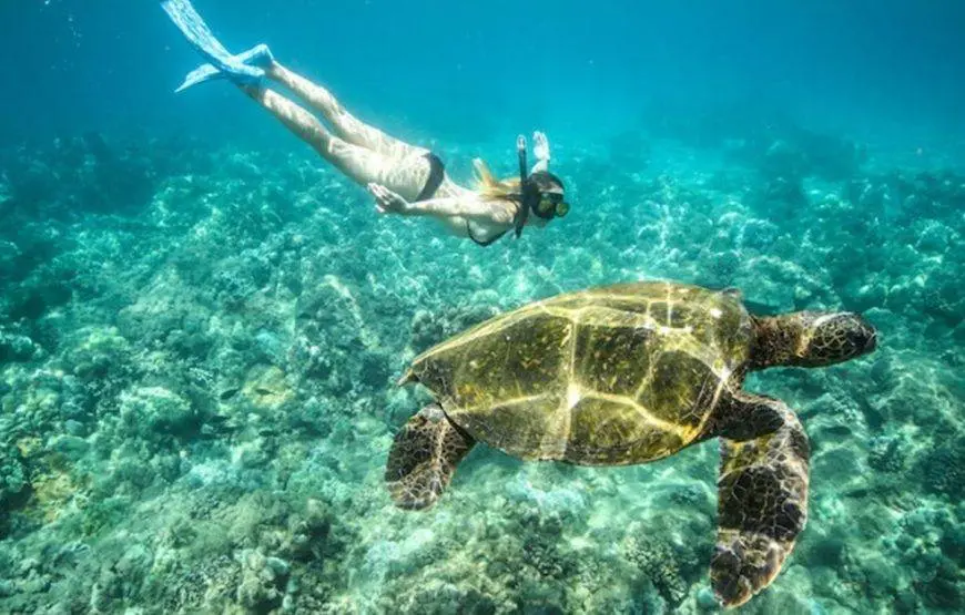 Marsa Alam, snorkeling trip to the Hamata Islands.