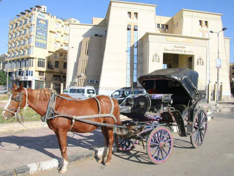 Traditional horse carriage for city tour in Aswan