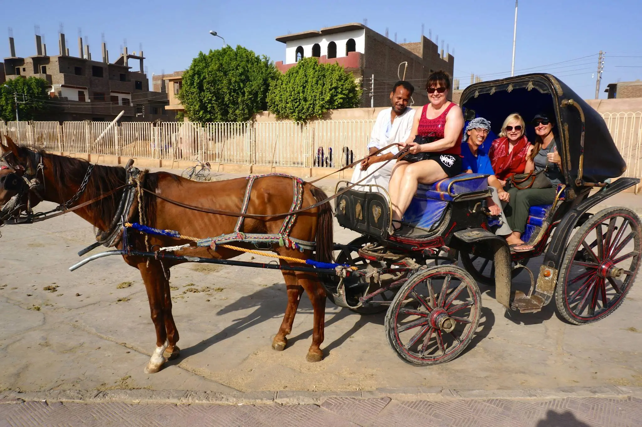Aswan City Tour on A Horse Carriage