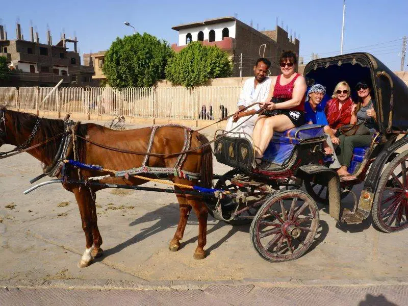 Private horse carriage ride through local Aswan streets