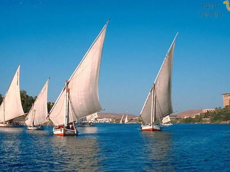 Nile felucca sailing experience