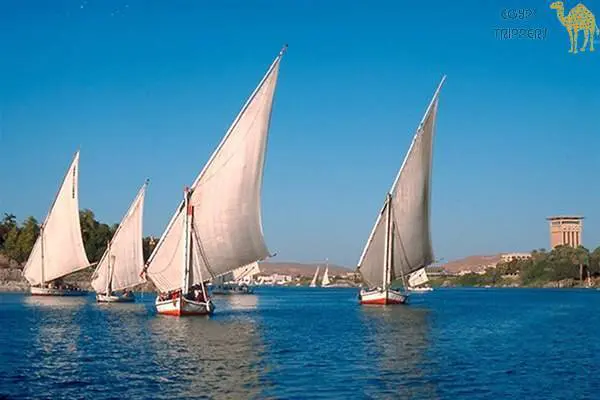 Aswan Felucca Tours