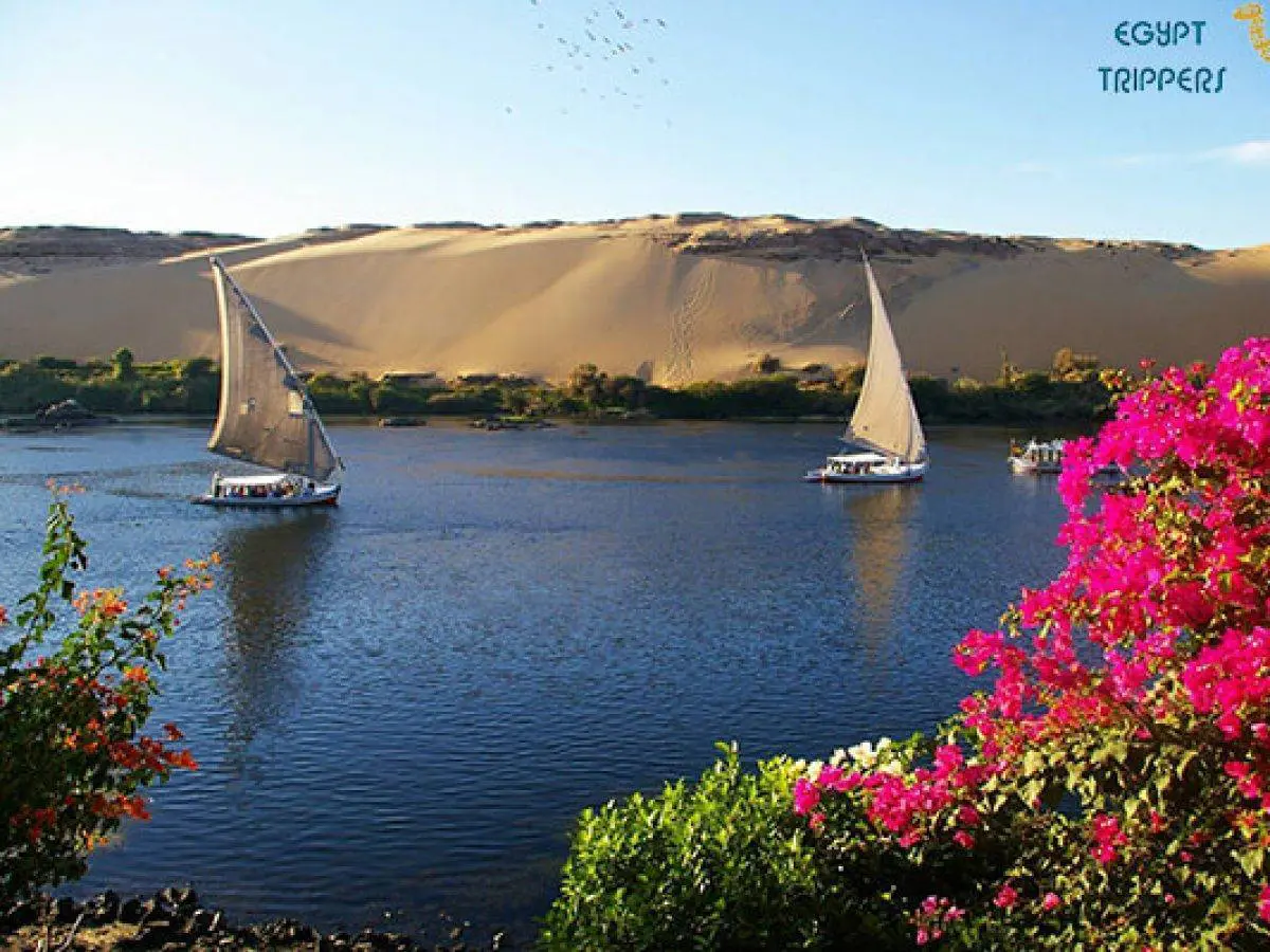 Aswan Tours