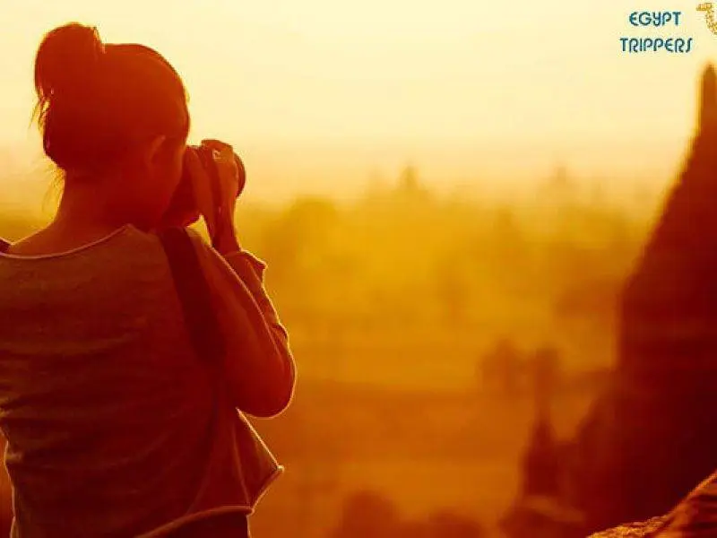 Best Travel Company