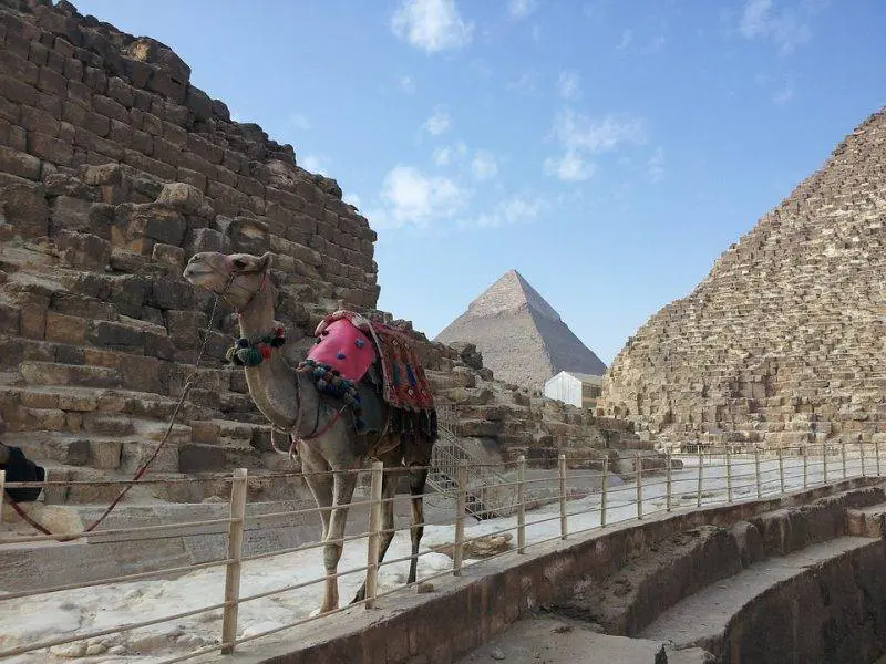 Camel Ride at the Pyramids