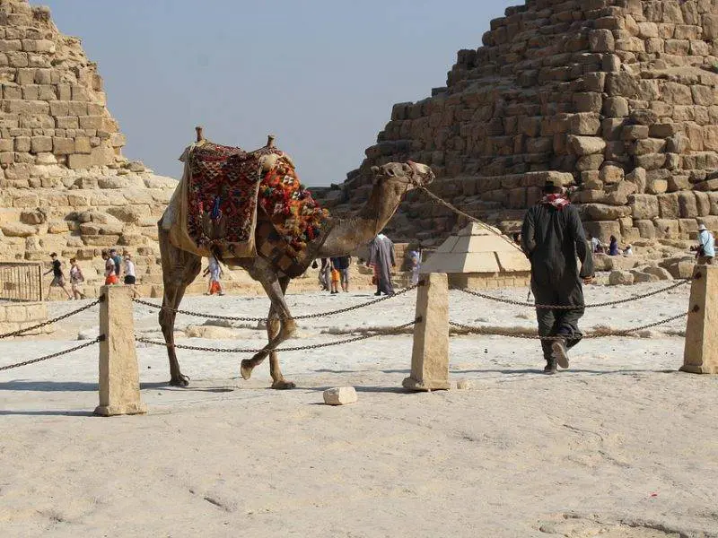 Camel Ride at the Pyramids