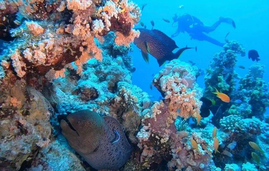 INTRODUCTORY DIVING IN SHARM EL SHEIKH