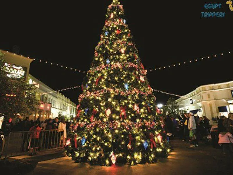 EGYPT CHRISTMAS
