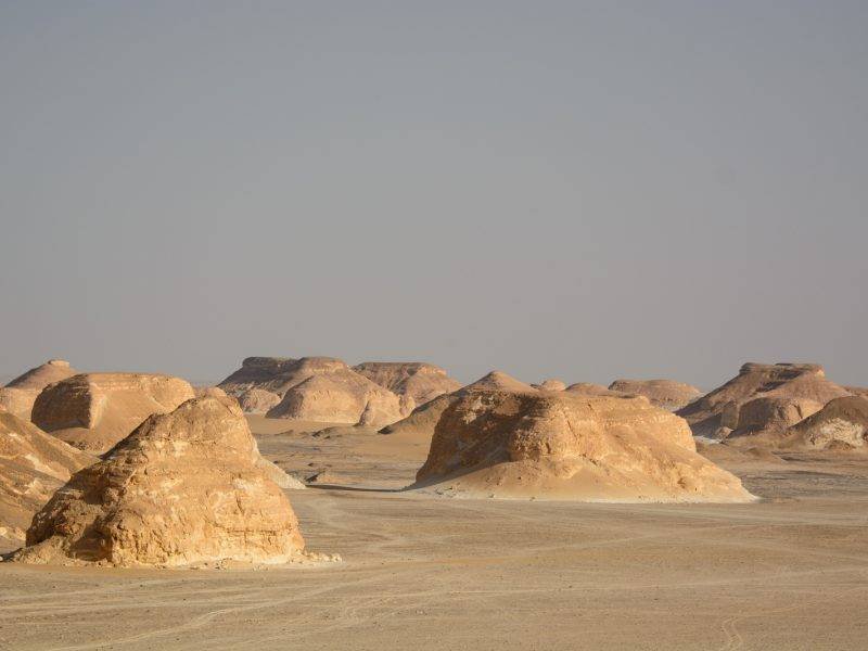Farafra Oasis