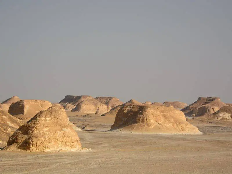 Farafra Oasis