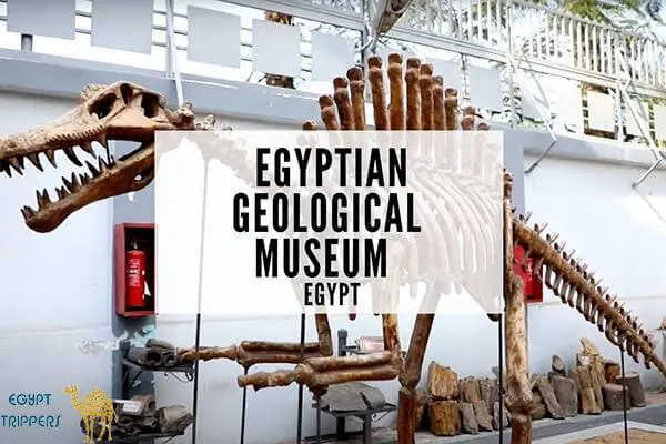 Geological Museum of Maadi