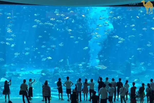 Hurghada Grand Aquarium