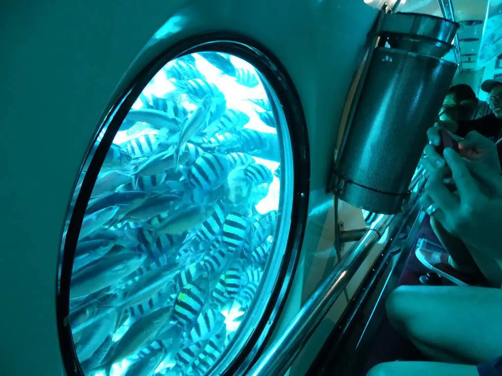 Submarine Tour in Hurghada