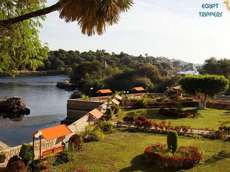 Island Plants in Aswan