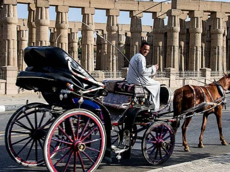 guided-luxor-hantour-tour