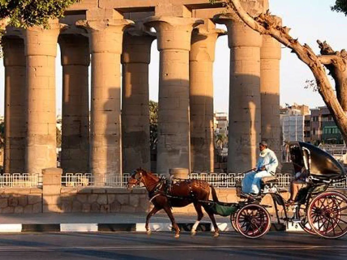 Luxor City Tour By Horse Carriage