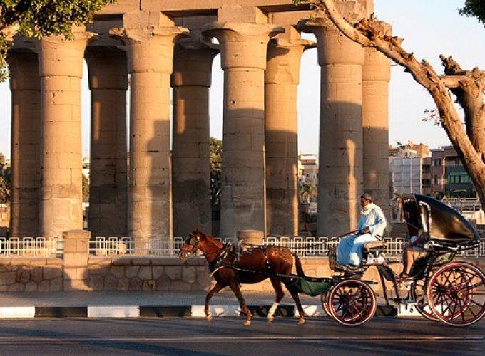 Horse Carriage Luxor