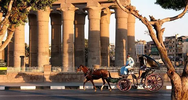 Luxor City Tour By Horse Carriage