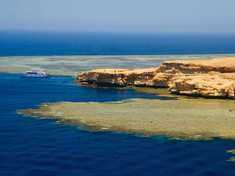 Ras Mohamed 500