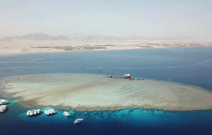 Snorkeling Trip to Tiran Island