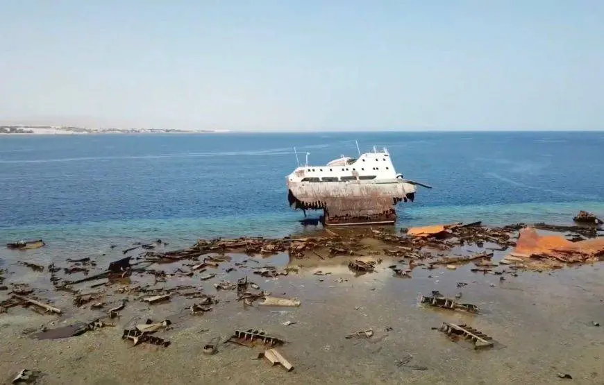 Snorkeling Trip to Tiran Island