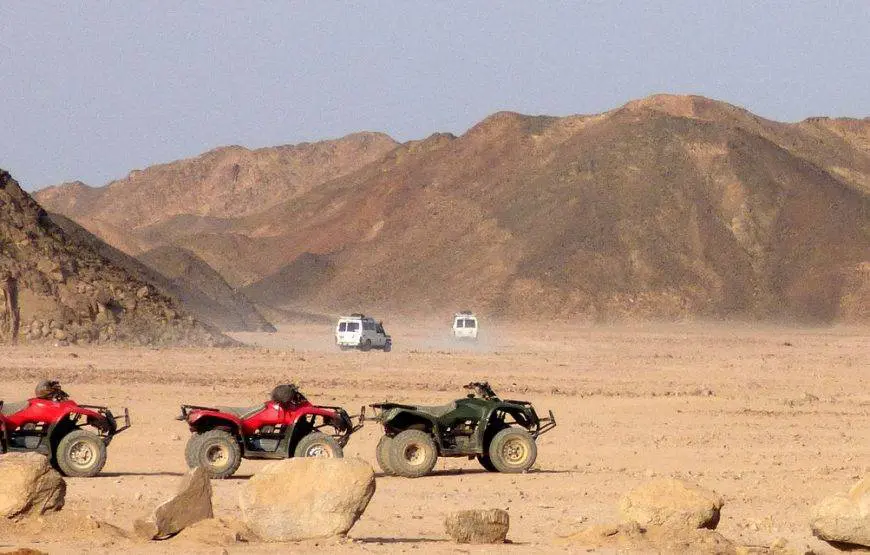 Quad Biking in the Sinai Desert