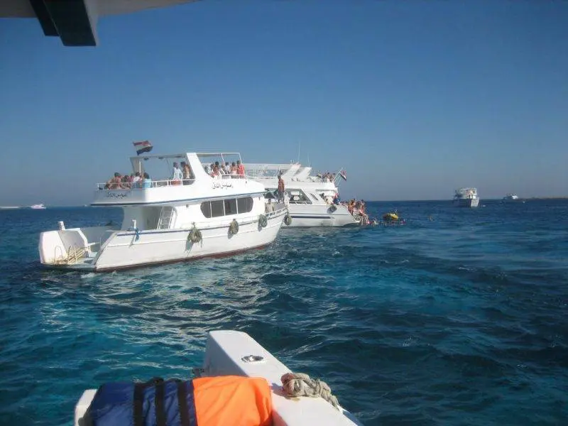Snorkelers exploring Giftun Island marine life