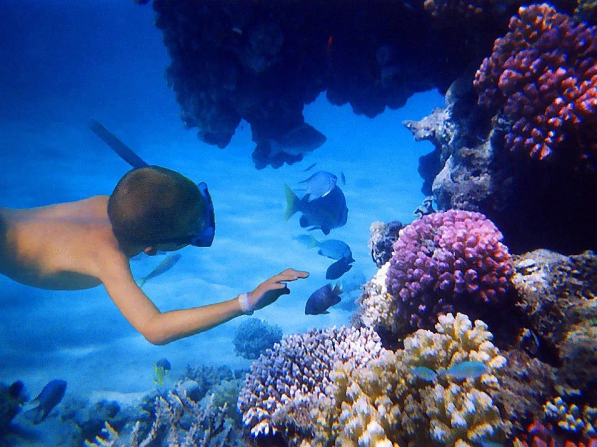 9 Days Cairo, Luxor, and Hurghada Tour Package