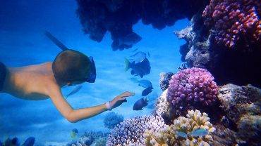 Snorkeling hurghada