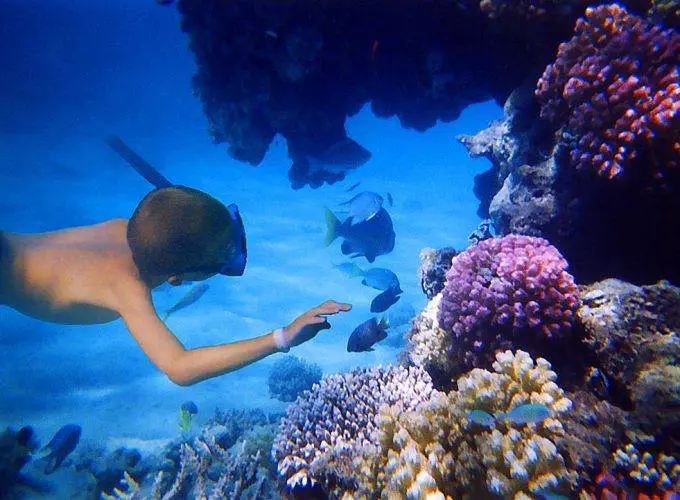 Snorkeling hurghada