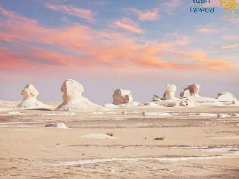 The White Desert