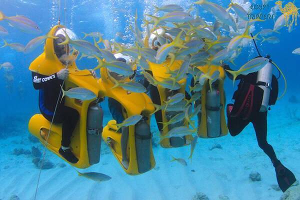 Underwater Excursions