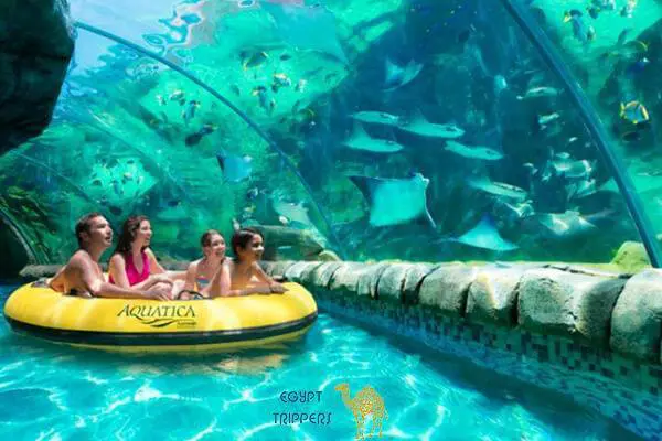 Water Park & Aquarium