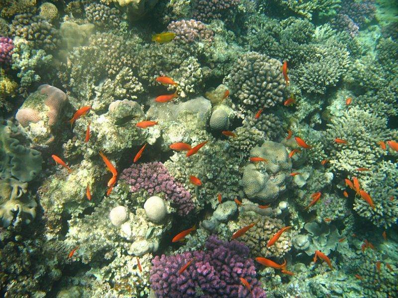 hurghada