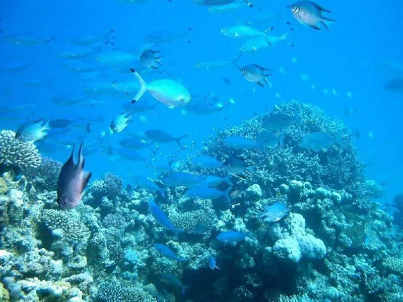 hurghada