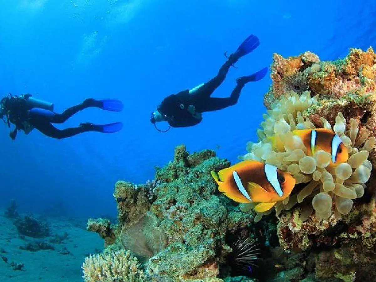 15 Days Cairo Alexandria and Nile Cruise then Hurghada
