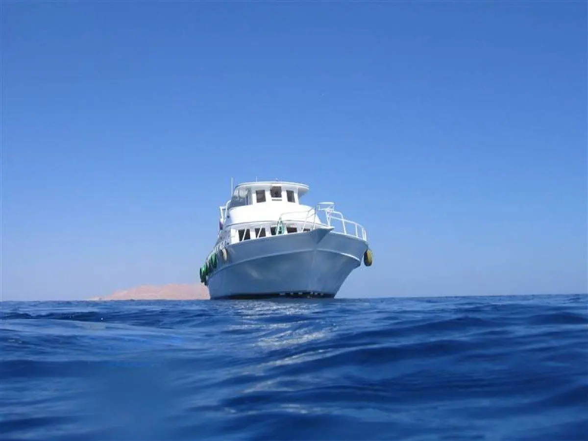 sharm-el-sheikh 501