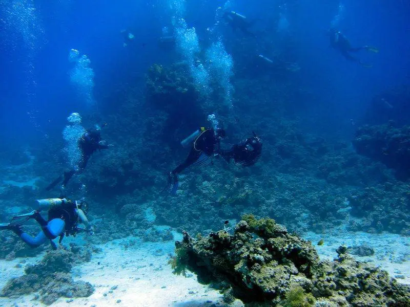 diving in Sharm El Sheikh – Red Sea vacation Egypt 9-day package