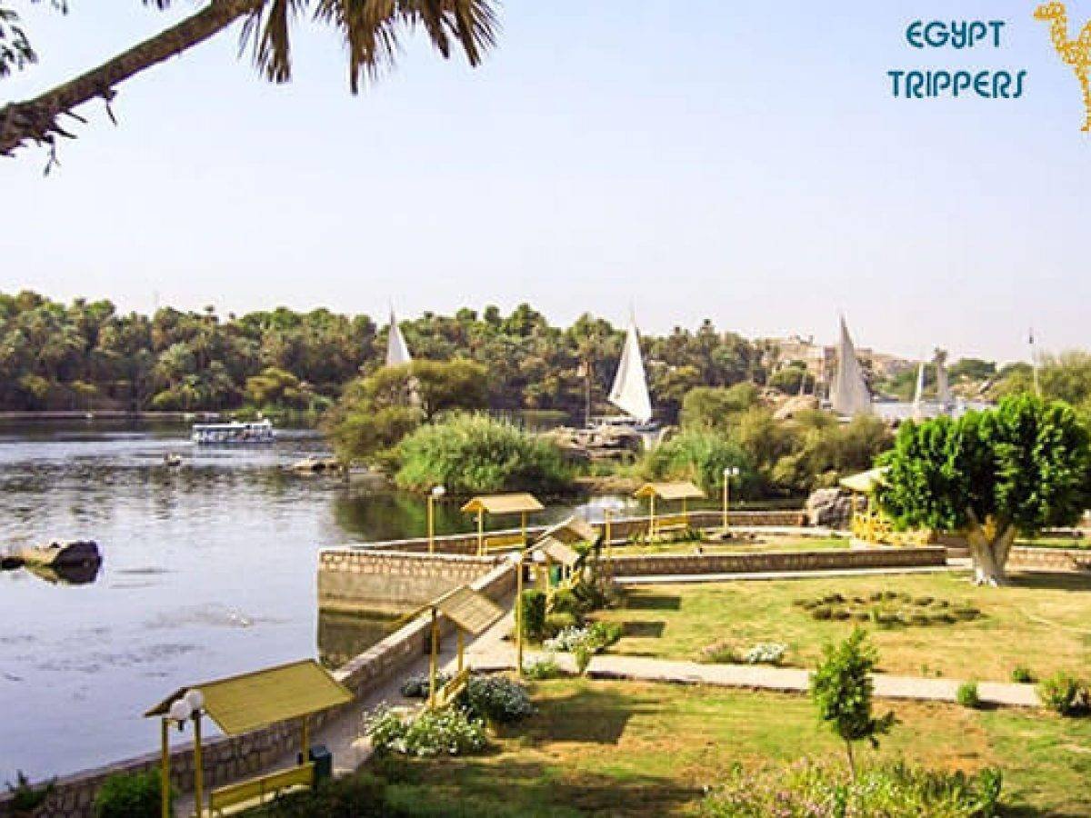 The Elephantine Island
