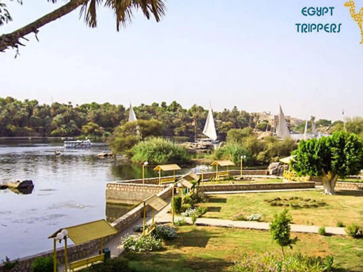 The Elephantine Island