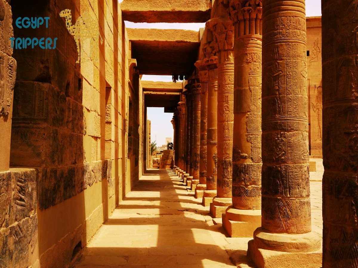 egypt custom tours