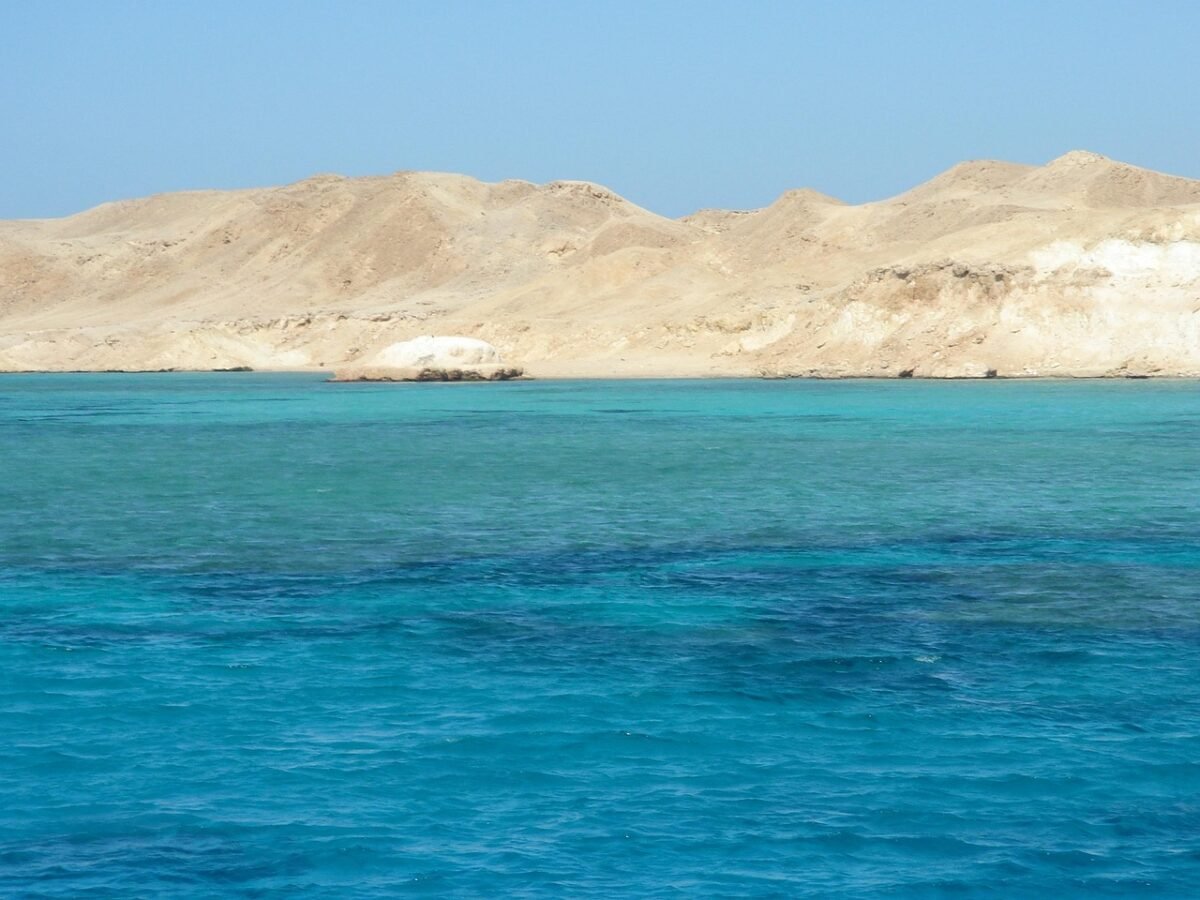 Swim or Shiver - Red Sea Water Temperature January Guide