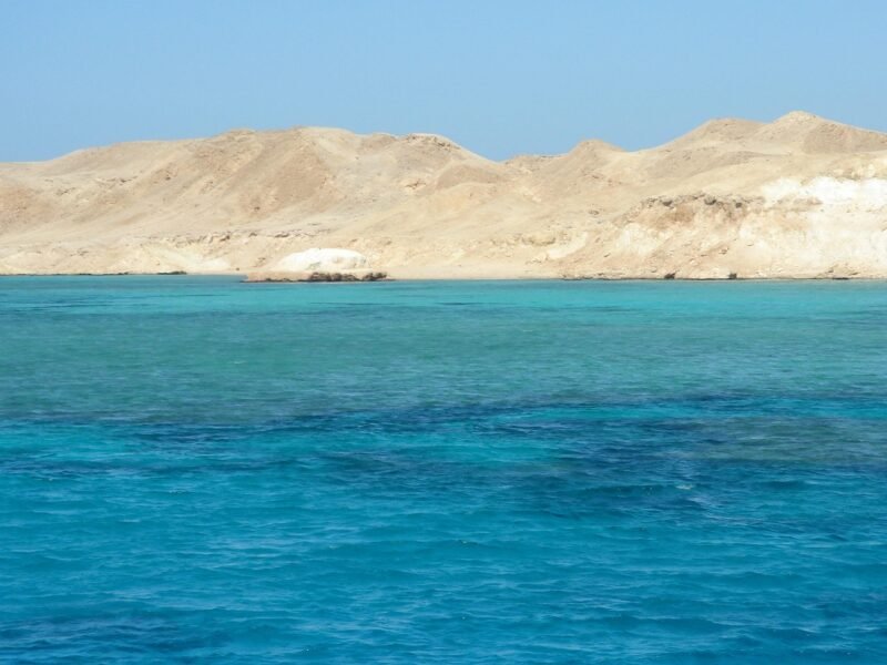 Swim or Shiver - Red Sea Water Temperature January Guide