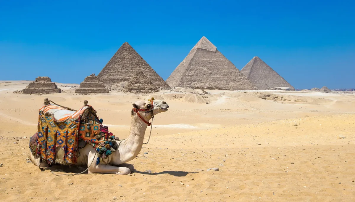 Travel to Egypt Requirements 2026 - Official Entry Guide
